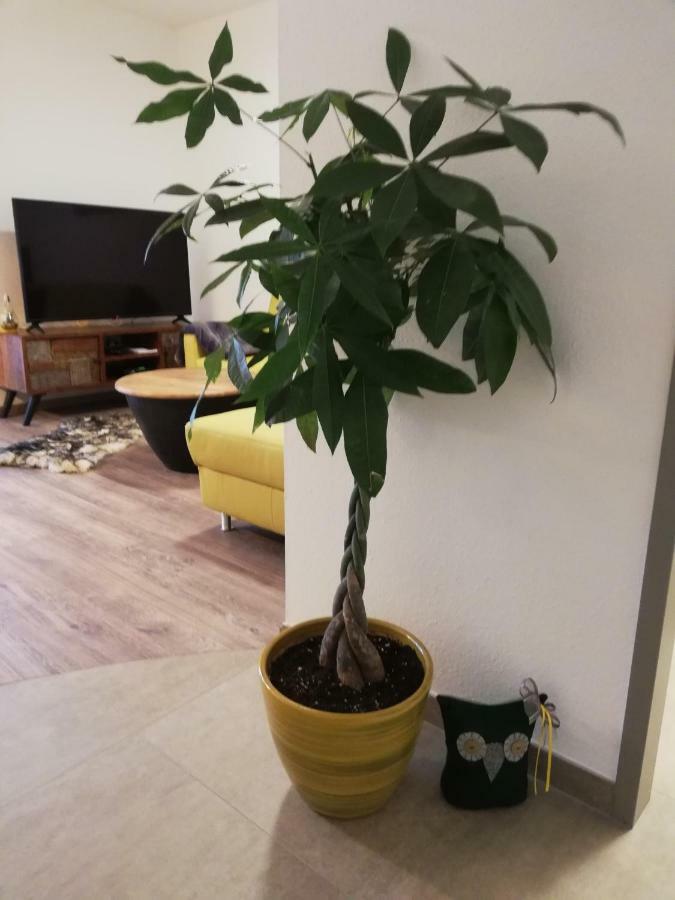 Schmaranzer Leilighet Bad Ischl Eksteriør bilde